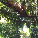 23659515_1337068399738885_6707399733212028036_n (1)